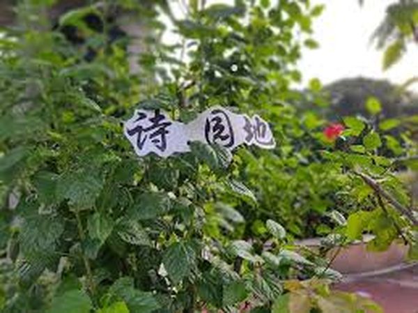 《似蜜随笔》南加州缅华网「诗的园地」（了因）