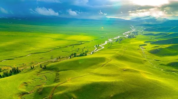 1028名日本人报名游新疆