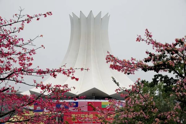 在这里，中国“赢得人心”——