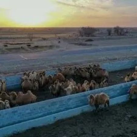 “不演‘种族灭绝’剧本，就有麻烦！”