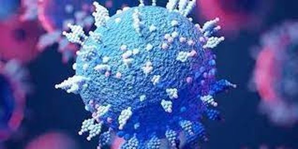 奥密克戎有了“妹妹”？