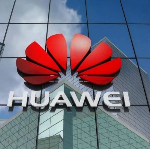 美国禁令之下，华为排名上升！