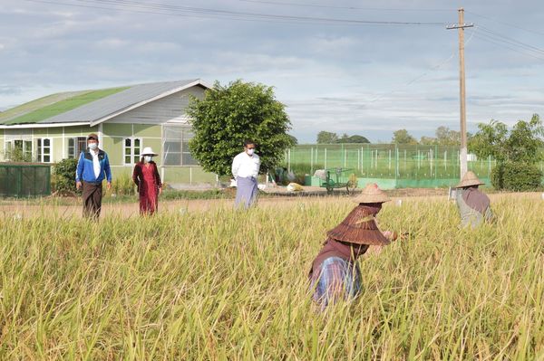 将延长疫情特别贷款还款期和2021年冬季农业贷款发放期