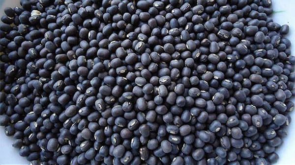 新财政年度四个月缅甸黑麦豆出口已达1.88亿美元