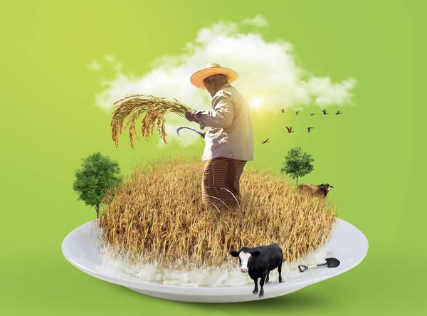 2020—21财政年度缅甸各种农牧渔产品的生产情况