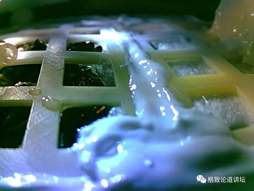 月球上能不能种菜？中国科学家的9天实验，引发国际轰动