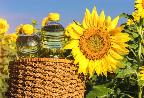 勃固省那德林县区油料作物种植情况