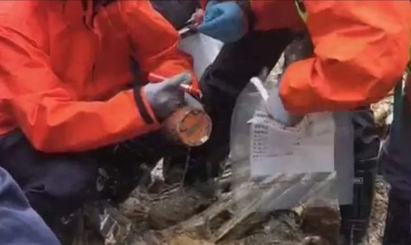 东航客机坠毁事故调查新进展