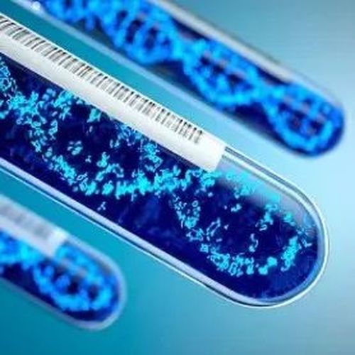 “不得向境外提供中国人类遗传资源”