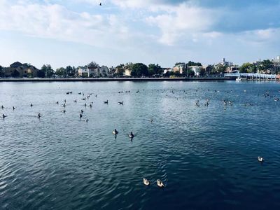 思念（汤琼秀）