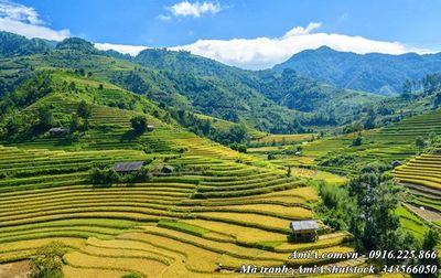 春到山乡(舒云)