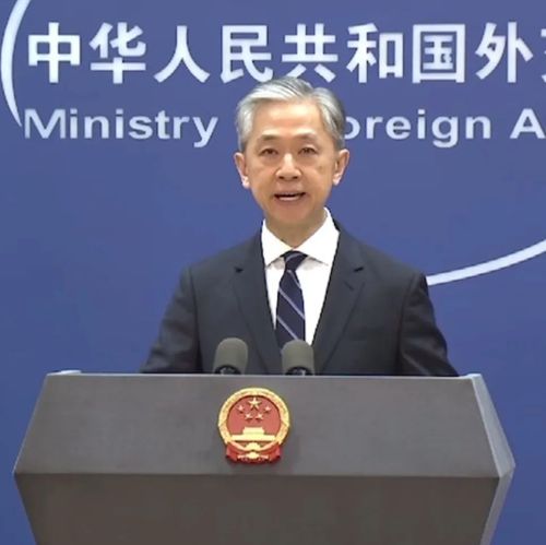 汪文斌：美方应该好好补补课