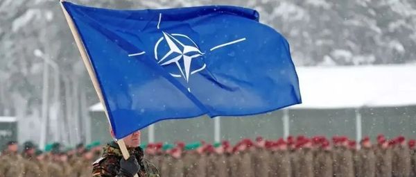 外媒：下周这个国家将申请加入北约