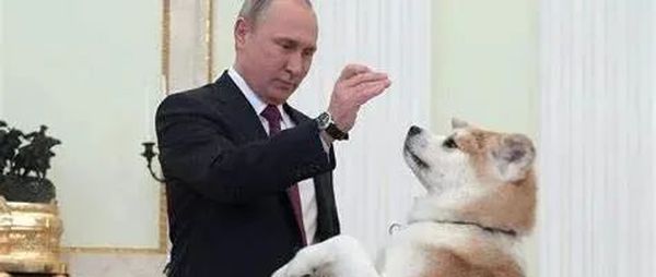 日本有点懵！俄罗斯最羞辱人的报复，居然是针对日本