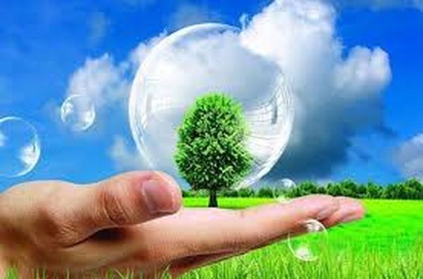 “环保和半导体”（朱池山）