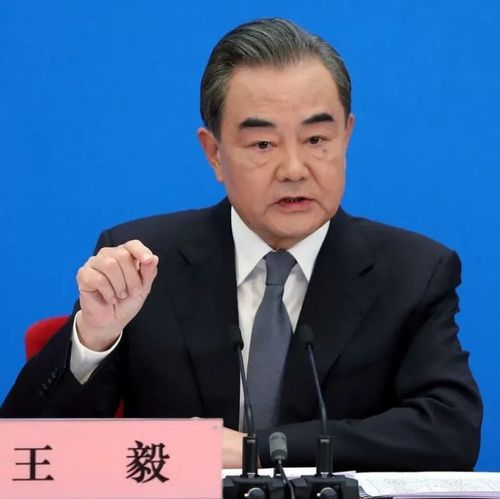 王毅：不管提出什么地区战略，宗旨都应是互利共赢，而不是零和博弈