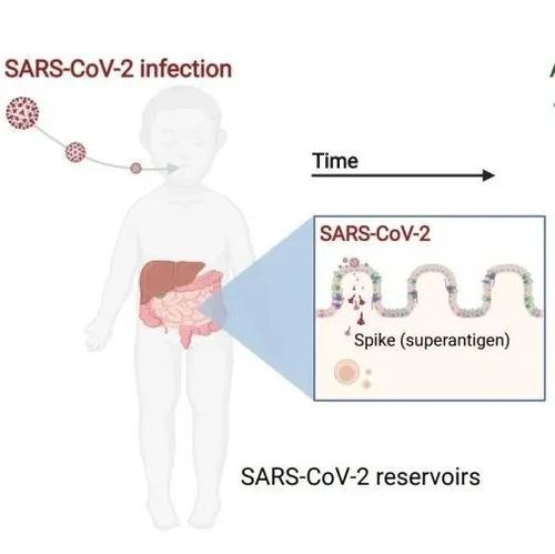 不明原因儿童急性肝炎，有最新发现！