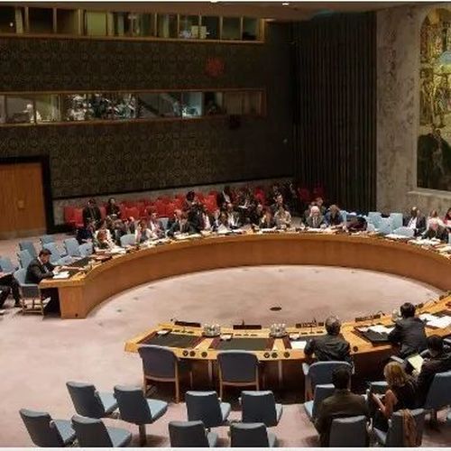 刚刚，中俄否决！