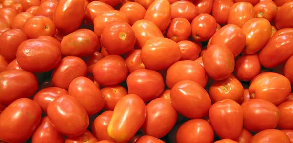 掸邦南部的番茄在曼德勒市场上获得了好价钱