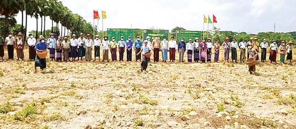 勃固省良礼平县区将种植13多万英亩雨季稻