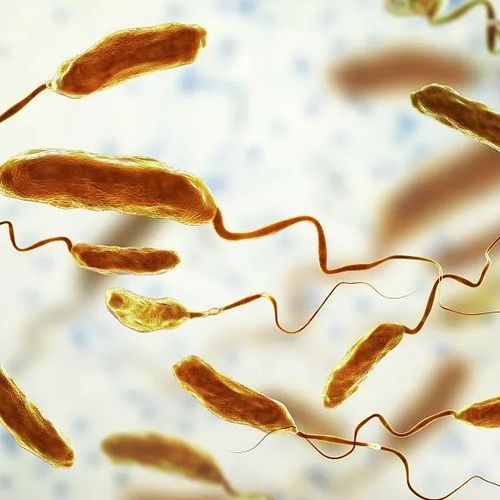 新细节被曝光！