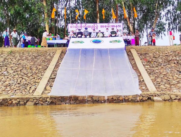 实皆省今年已向自然水域中投放120多万尾鱼苗