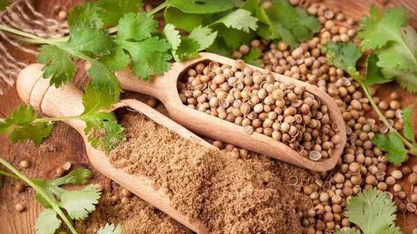 因孟加拉国方面购买力强缅甸香菜籽行情破纪录地上涨