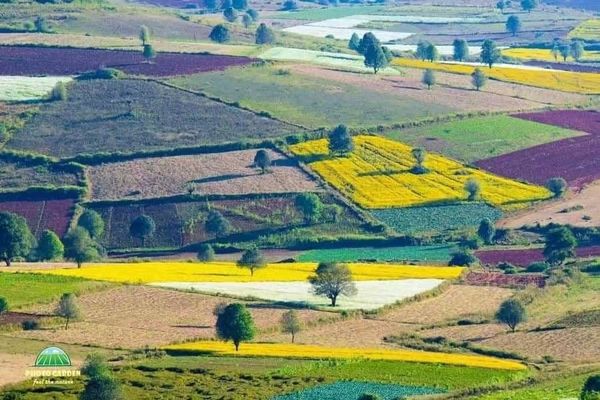 今年头7个月内进入掸邦南部地区的国内国外游客有20多万人