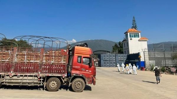 由于人民币汇率上涨中缅边境贸易进口量减少