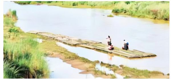 勃固山脉所产竹子滞销行情也下跌