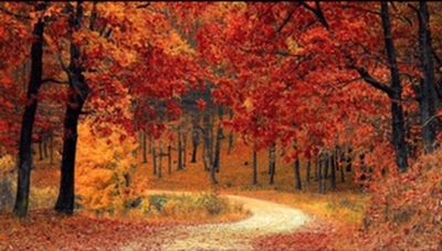 中秋节有感（杨桂芸）