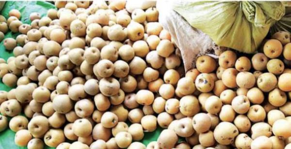 掸邦南部梨子价钱走俏产品也热销