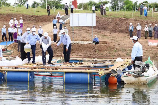 实皆省向江河湖泊等自然水域投放270万尾鱼苗