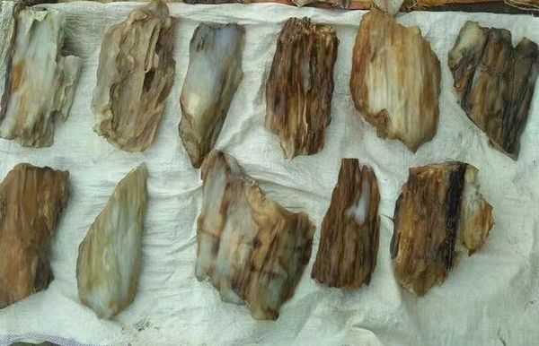 由克钦邦边贸口岸出口农产品及白柳安树化石