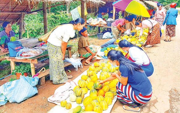 掸邦东部孟别县区香瓜获得好价钱