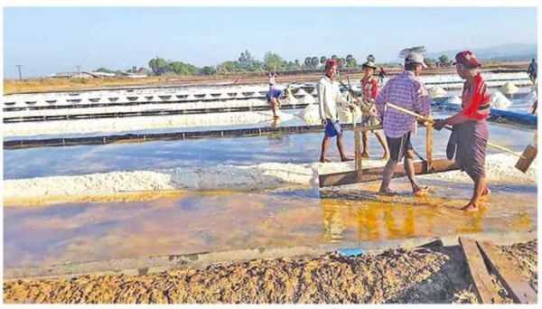 孟邦场存货减少导致盐价上扬