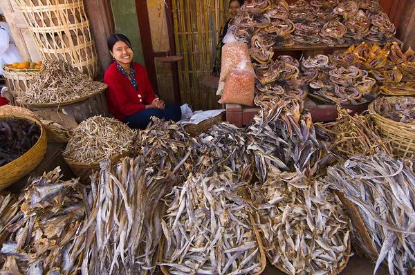 伊洛瓦底省鱼干日进仰光大都市七万缅斤