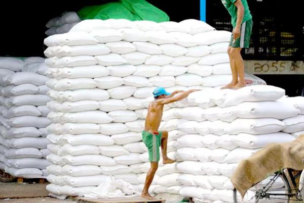 今年8月份缅甸大米出口情况