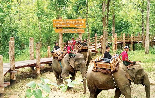 内比都一大象营地内有缅甸最长的林中桥