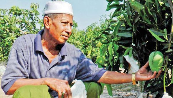 马来西亚多种农产品已可百分之百 满足本国的需求