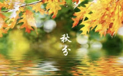 秋分•五律(王寅)