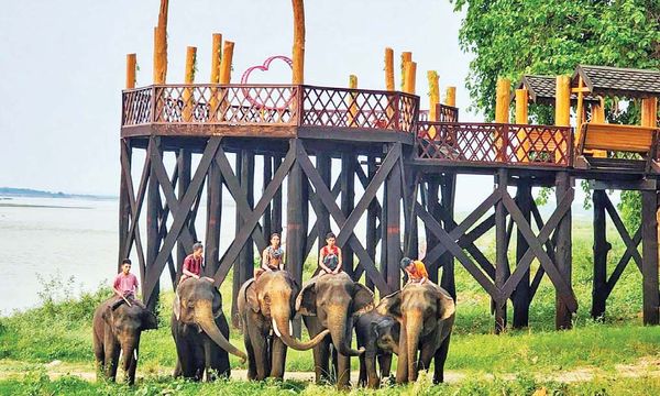 直粦卒节假日期间可前往游览参观的大象营地