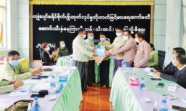 伊洛瓦底省宫漂县区、宫漂专区布置冬向日葵的种植工作