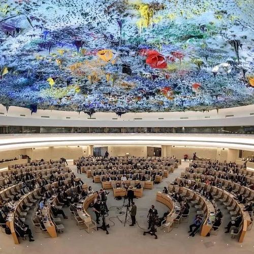 “严重关切”！中国大使代表多国作共同发言