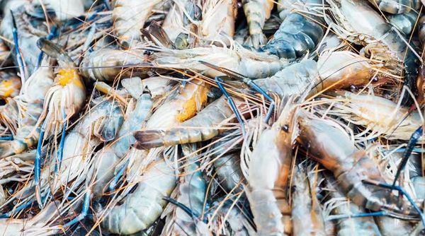 六个月内缅甸向国外出口虾类8,600多吨