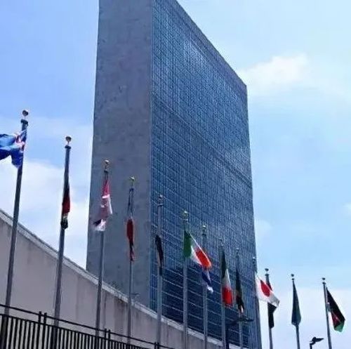 中国代表：这种做法是人类社会的毒瘤