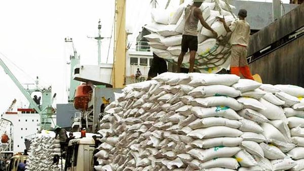今年9月份缅甸出口大米碎米9万多吨