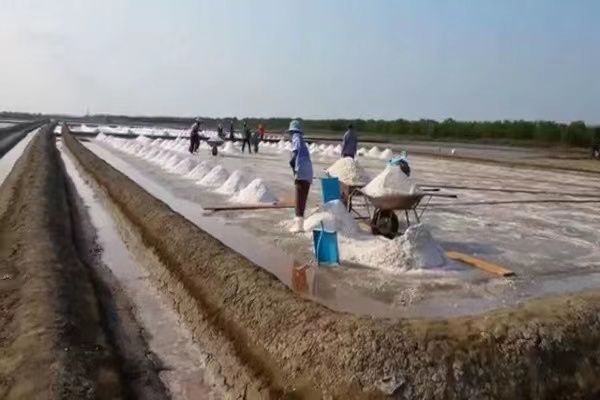 孟邦所产之盐因需求量高价格上扬