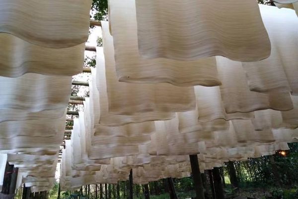 今年泰国橡胶产量又大幅提高