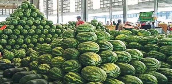 缅甸雨西瓜出口情况